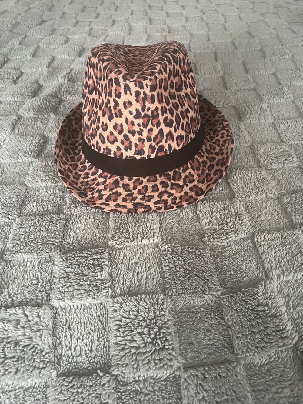 Leopard Print Fedora Hat with Black Band